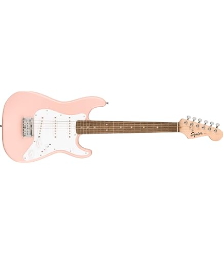 Amazon | Fender デラックスシリーズ ストラトキャスター ボディ Amazon | Fender デラックスシリーズ ストラトキャスター ボディ